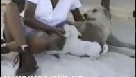 video Celebrity - Samantha Fox Tits And Bikini Nude
