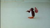 video Pingu 4.Bölüm İzle - www.cizgifilmkolik.com