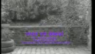 Sabah�n K�r�nde - Mor ve �tesi