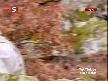 Tek T�rkiye 124.B�l�m 4.K�s�m