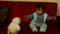 Video : tavukla dans eden bebek