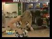 video italyanların sexi şaka